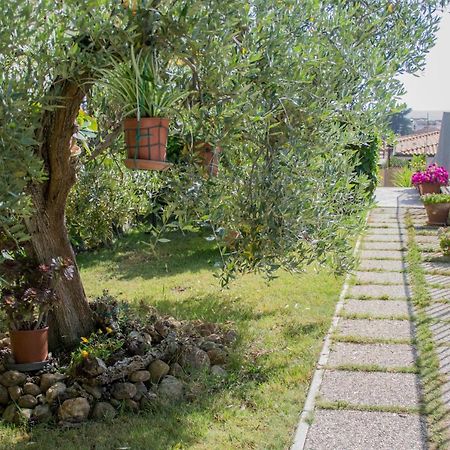 Casa D'Amare - A 600 Mt Dalla Spiaggia Фоллоніка Екстер'єр фото